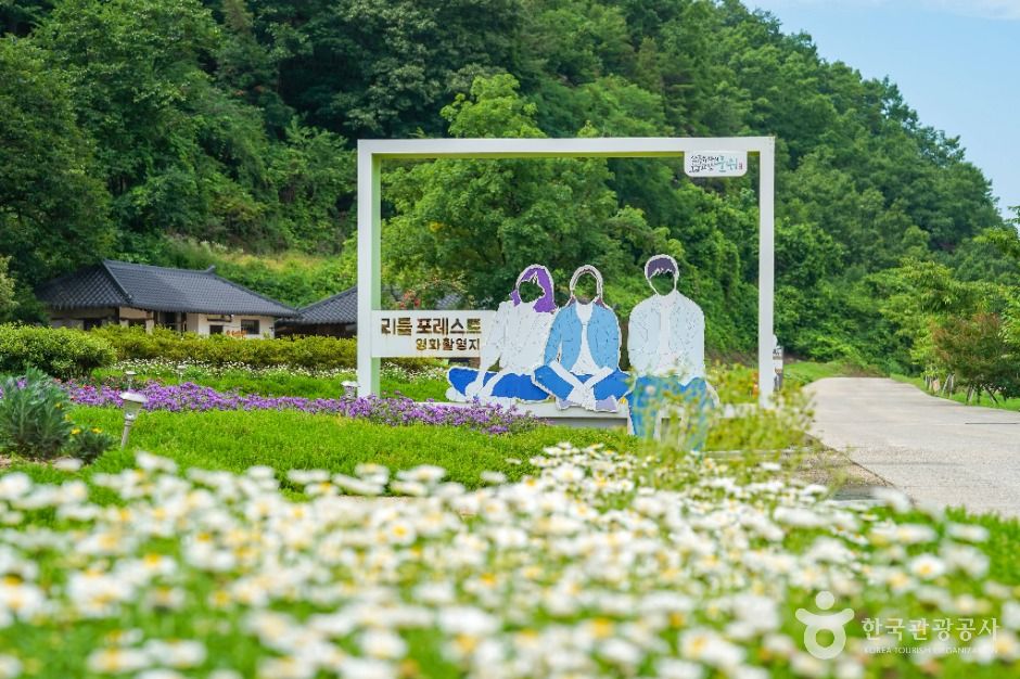 대구_혜원의 집 (2)