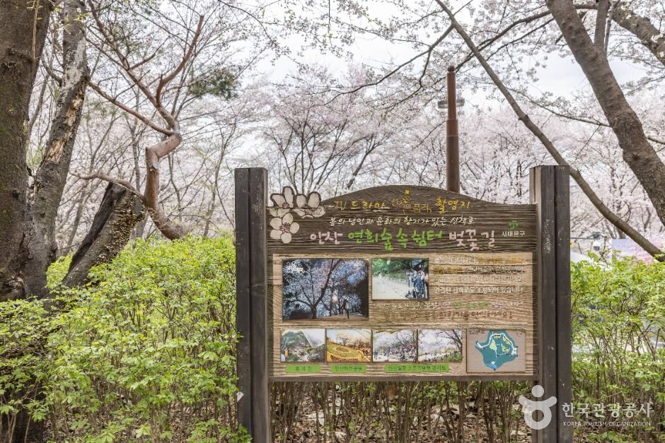 연희숲속쉼터