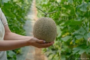 전남 영암 전북 완주 여행 가볼만한곳 한복 명상 전통주 이색 체험_야미야미팜_3-6