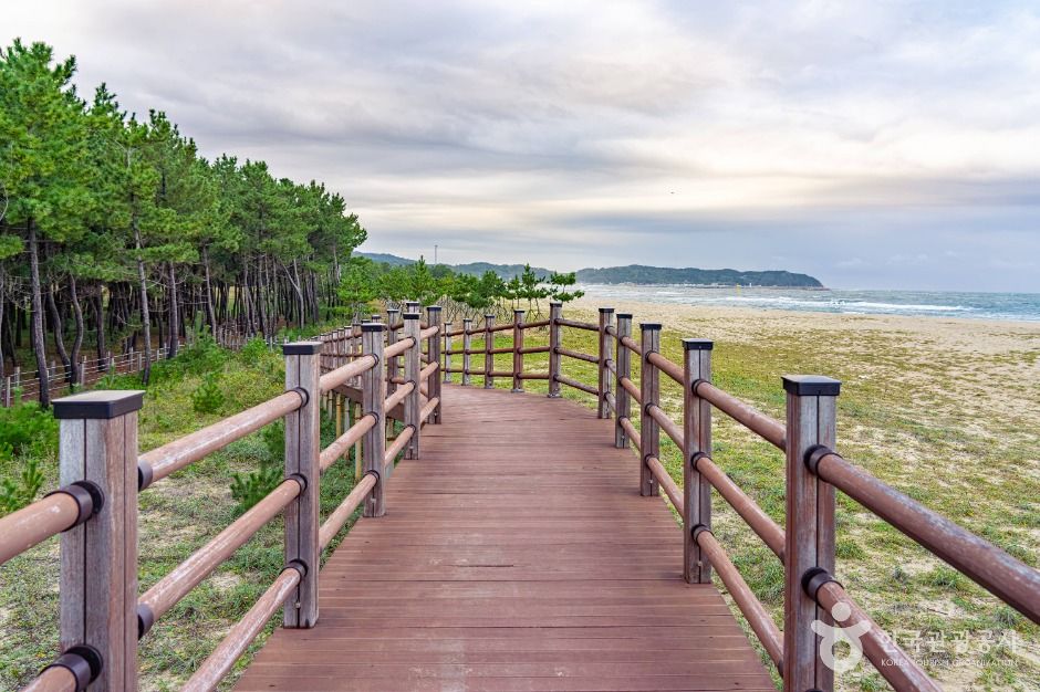 평해사구습지 생태공원