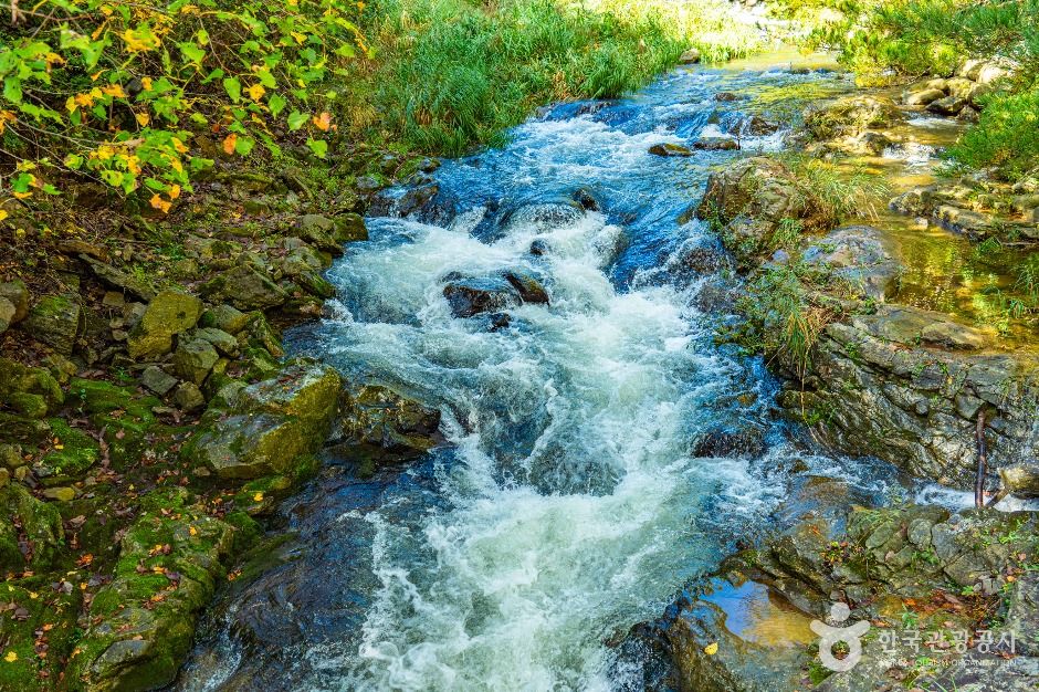 인제_내심적계곡 (2)