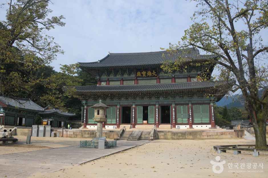 보은 법주사 (7)