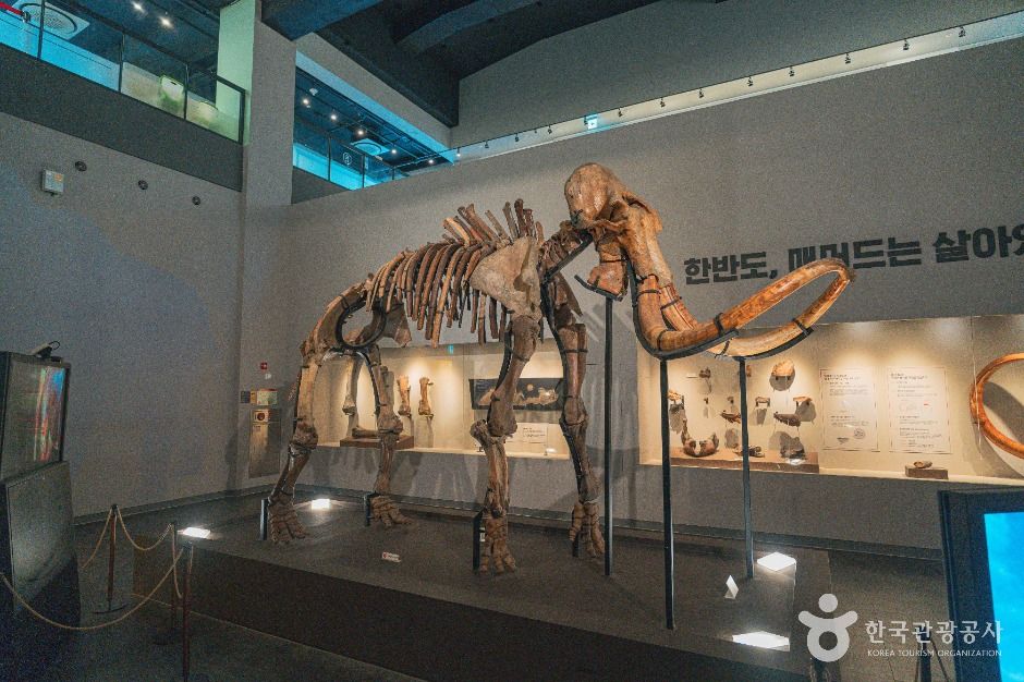 천연기념물센터