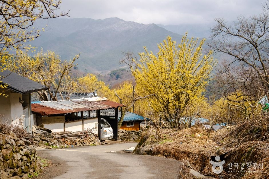 thumbnail-현천마을-3