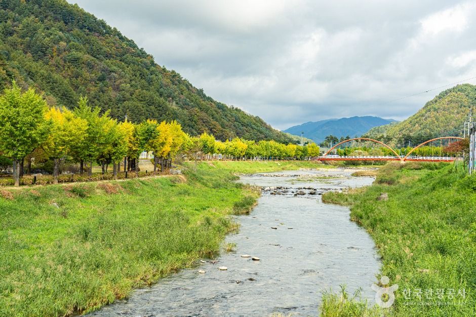 평창_대화장터 가는 길 (7)