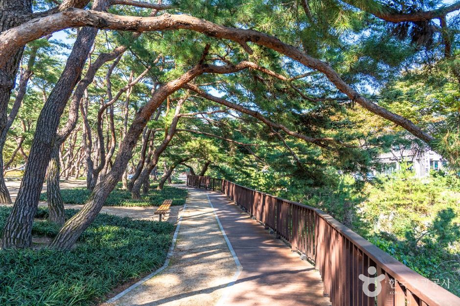 의림지 솔밭공원