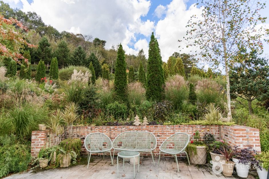 괴산 트리하우스 가든