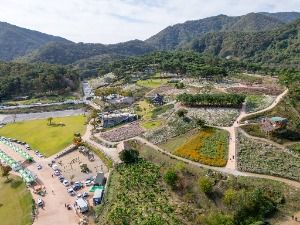 정읍 구절초 지방정원