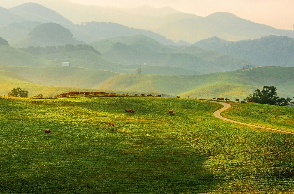 서산한우목장 웰빙산책로