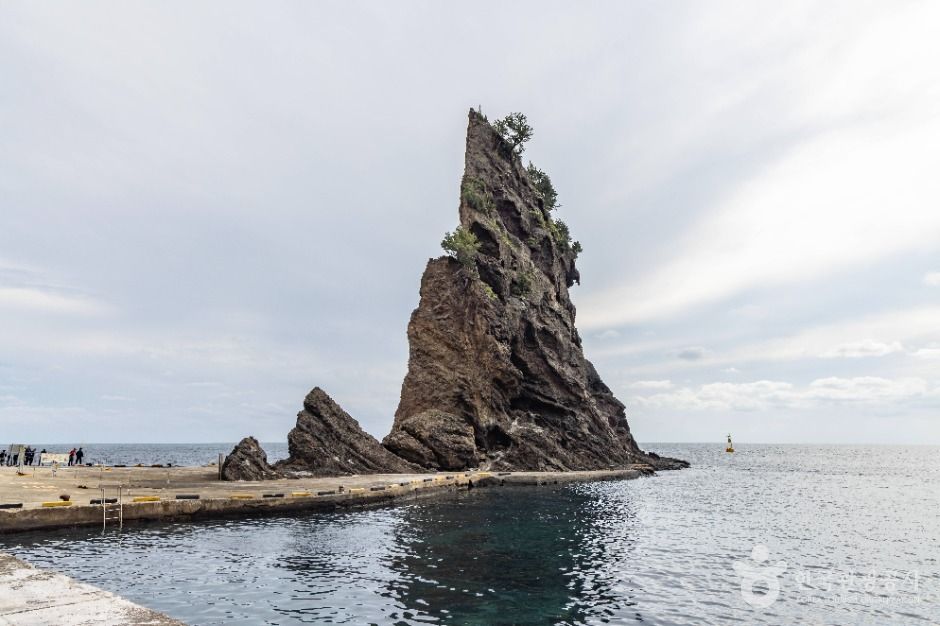 거북바위 및 향나무 자생지 (울릉도, 독도 국가지질공원)
