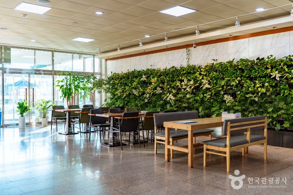 경주_경주시청소년수련관 (4)