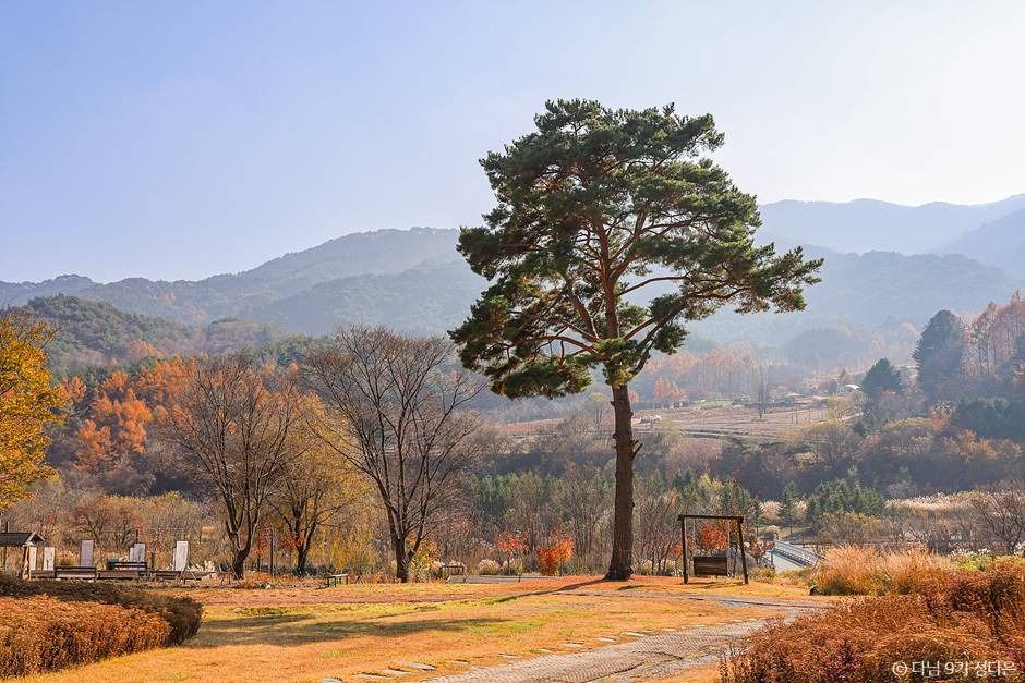 thumbnail-국립백두대간수목원-5