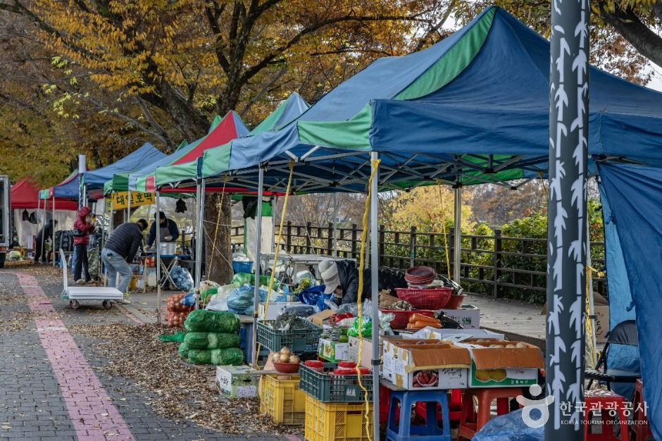 thumbnail-담양시장-0