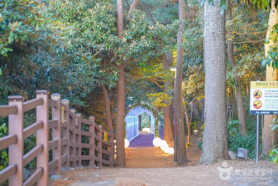 [하영올레] 1코스