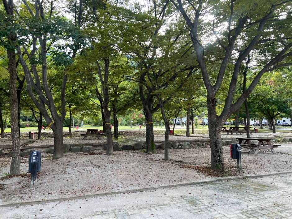 속초_설악산국립공원 자동차야영장 (9)