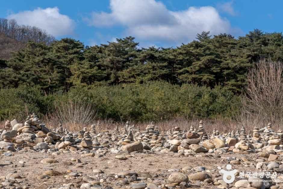 thumbnail-영월 청령포-15