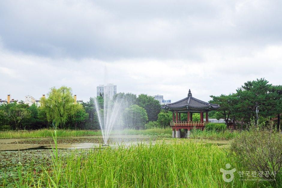 thumbnail-한밭수목원-16