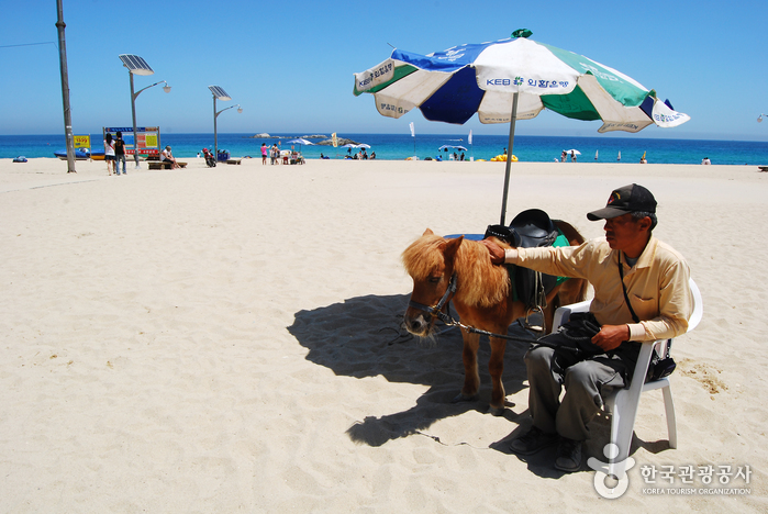 Gyeongpo Beach (경포해변)