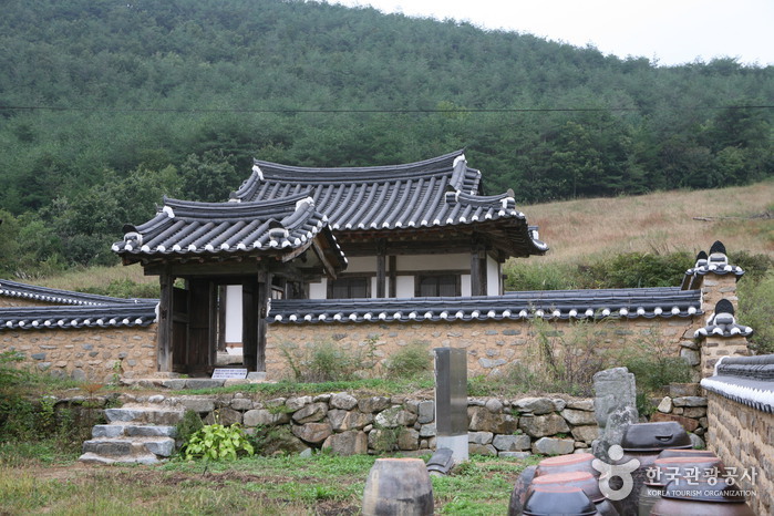 Nongam House (Head Household of the Nongam Descendants) (농암종택)