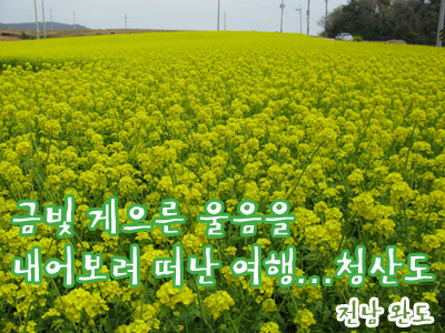 ±Ýºû °ÔÀ¸¸¥ ¿ïÀ½À» ³»¾îº¸·Á ¶°³ ¿©Çà... û»êµµ -Àü³²¿Ïµµ