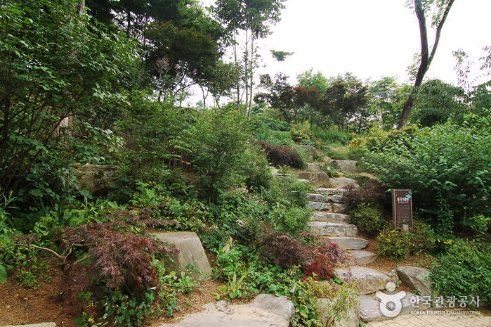 Hantaek Botanical Garden (한택식물원)
