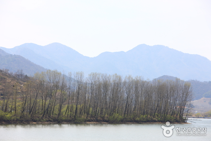 Junam Reservoir (주남저수지)