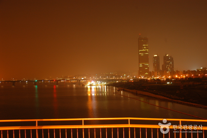 Vue de nuit depuis le pont Mapo (마포대교 야경)