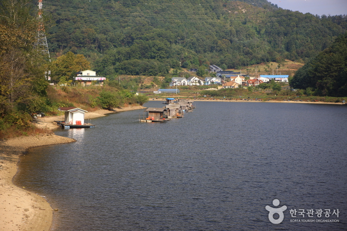 세종특별자치시6