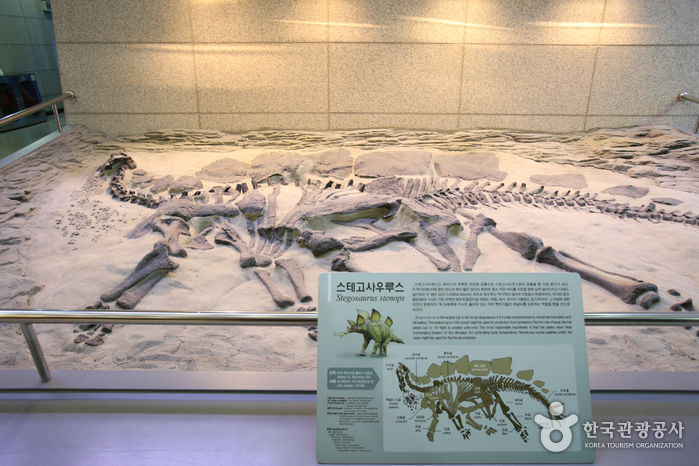 Museo Geológico (지질박물관)