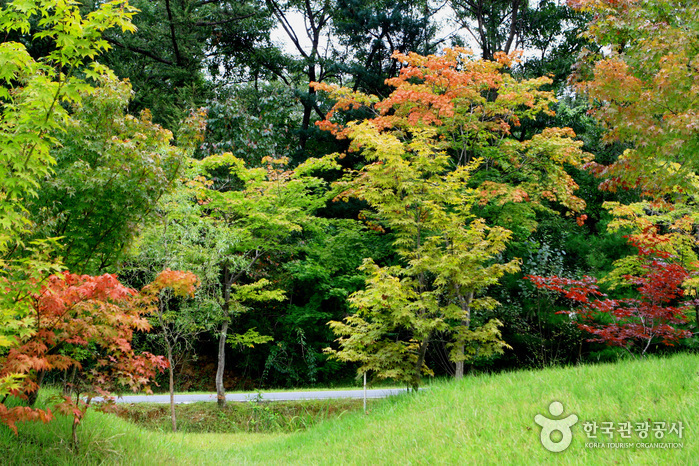 thumbnail-Mulhyanggi Arboretum (물향기수목원)-7