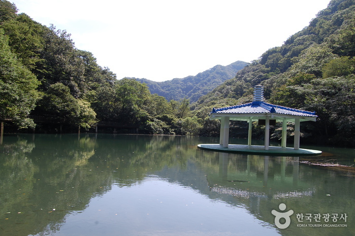 내장산국립공원 사진30