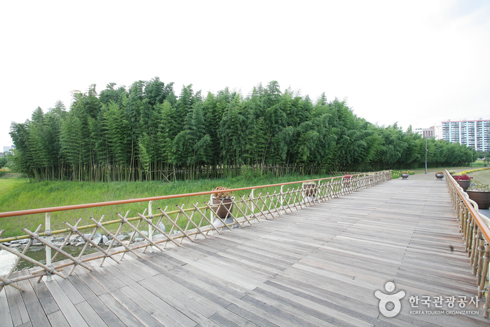 Taehwagang River (태화강)