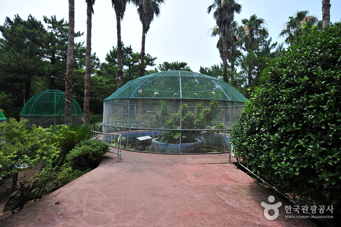 Hallim Park (한림공원)