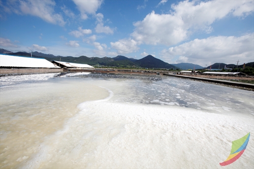 Gomso Salt Field (곰소...