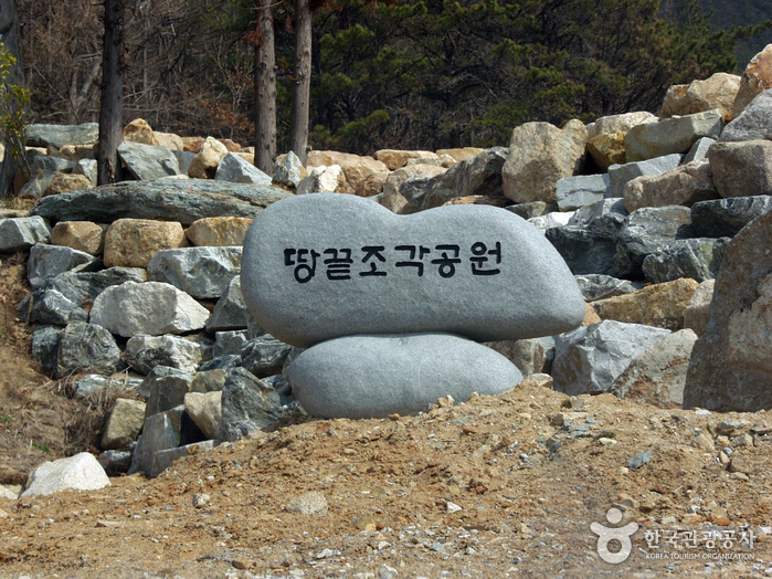 땅끝관광지 사진46