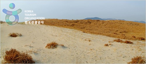 Sinduri Coastal Sand Dune (태안 신두리 해안사구)