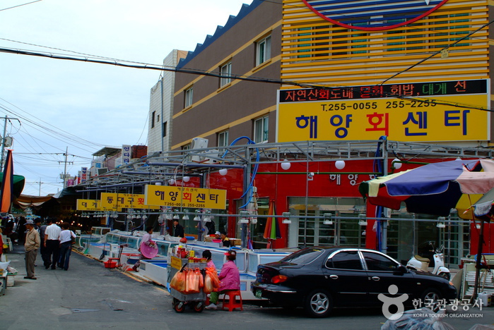 Jukdo Market (포항 죽도시장)