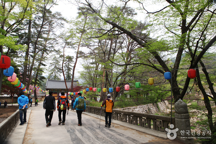 Songnisan Special Tourist Zone (속리산 관광특구)