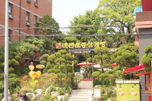 Baengnyeon Tojong Samgyetang (백년토종삼계탕)
