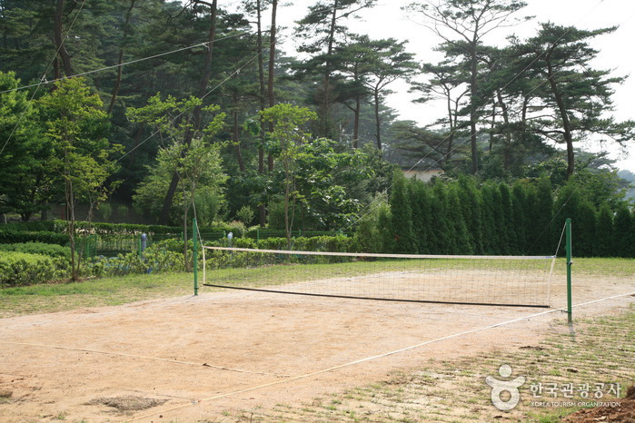 Anmyeondo Recreational Forest (안면도자연휴양림)
