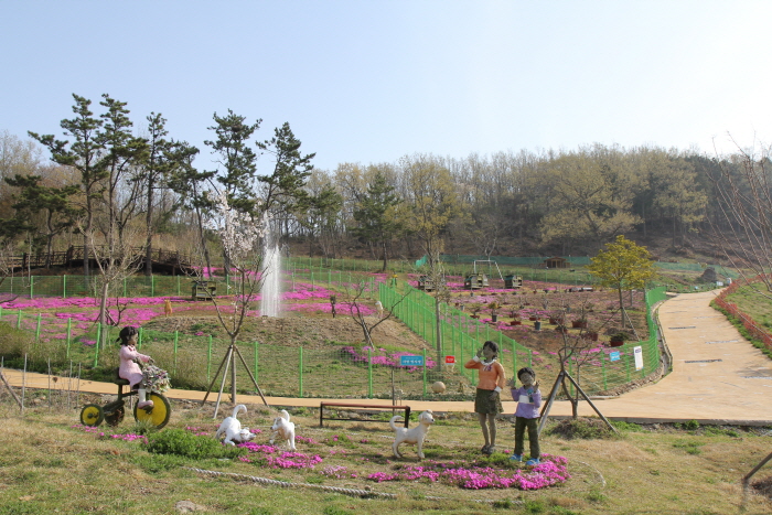 진도개 페스티벌 20208