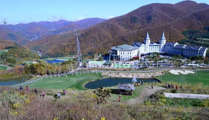 하이원 하늘길 트레킹 페스티벌 20193