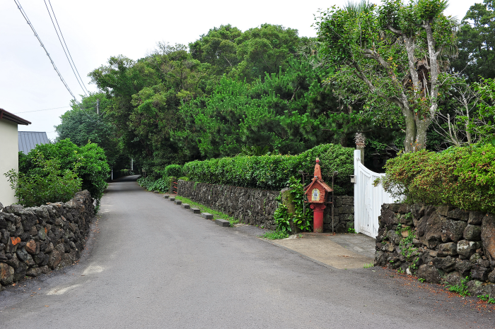 제주 동백마을1