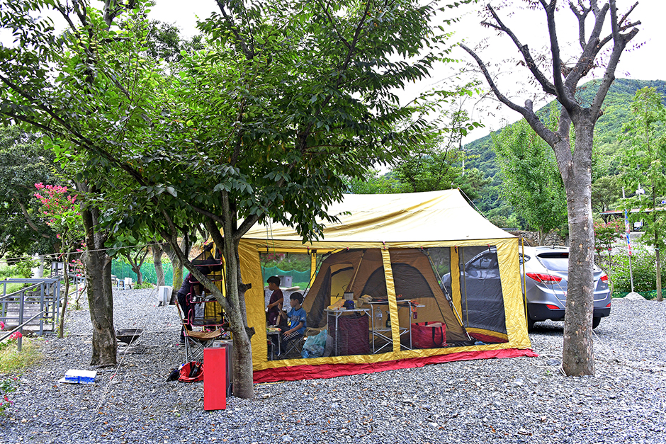 물안개오토캠핑장 텐트