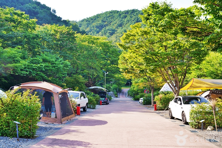 대둔산 도립공원 수락캠핑장