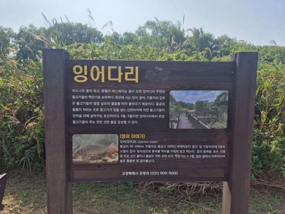 고양대덕생태공원