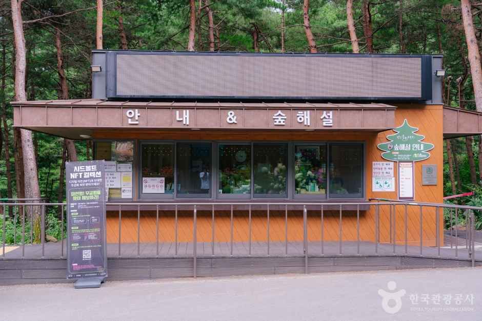강릉 솔향수목원