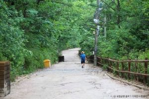 서울_[북한산 둘레길 21구간] 우이령길 (13)