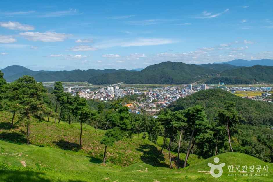 고령 지산동 고분군