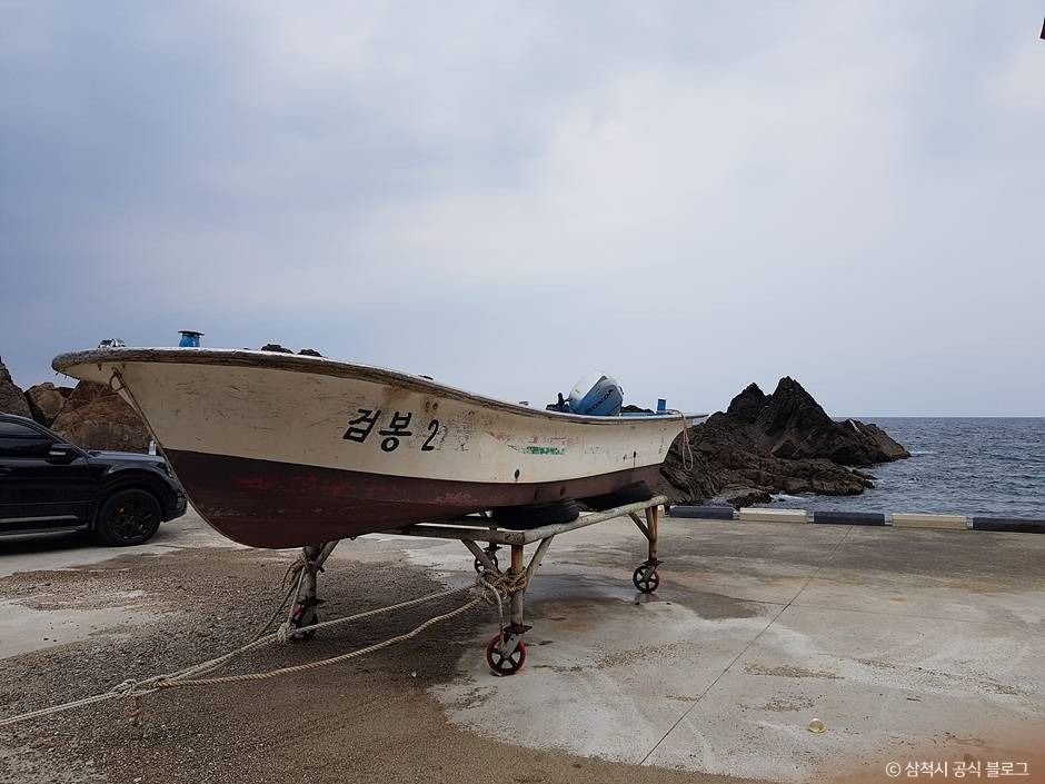 비화항